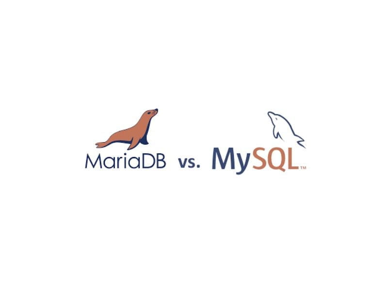 Todos Islas del pacifico sacerdote What is MariaDB? A comparison with the MySQL database