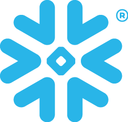 snowflake-bug-color-rgb_250x Snowflake Logo